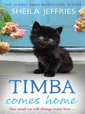 cover image of Timba Comes Home
